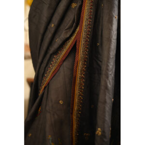 Nayaika in garden saree